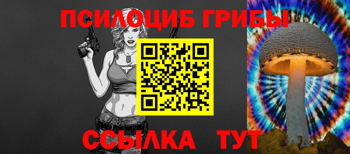 Жуковский  Псилоцибиновые грибы MAGIC MUSHROOMS  Вход с VPN  Галлюциногенные грибы Psilocybe 