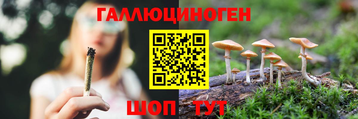 Псилоцибиновые грибы прущие грибы Жуковский