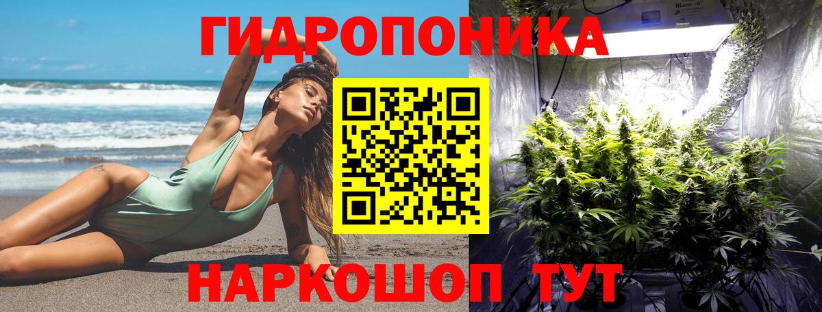 Конопля MAZAR Жуковский